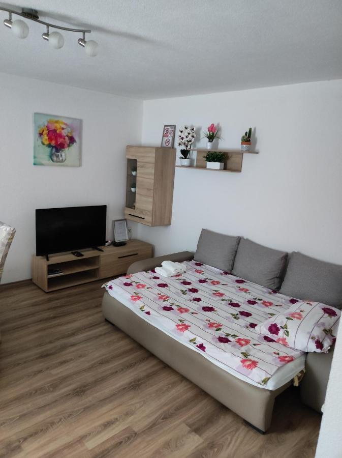 Apartment Sanja Smoljanac Extérieur photo